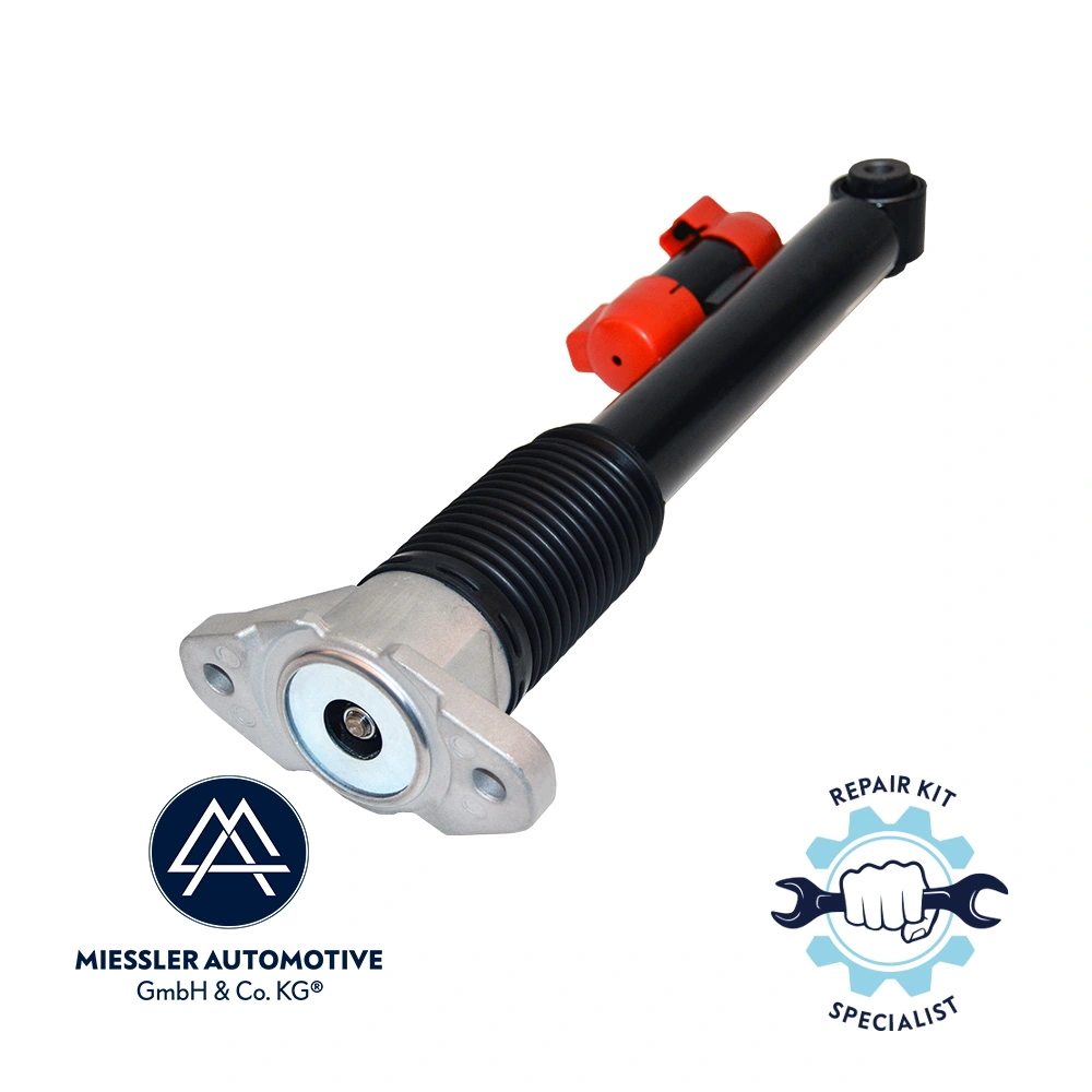 Амортизатор задний правый +489 +215 MERCEDES-BENZ (арт. a1673200402)